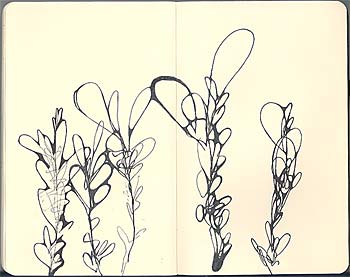 Click to view a larger version