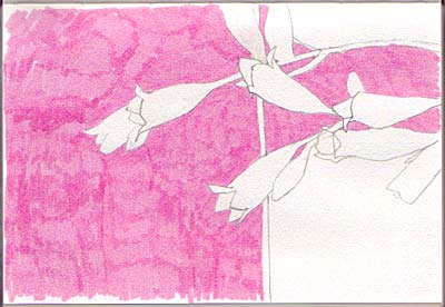 Flowers Pink : Mark Dixon