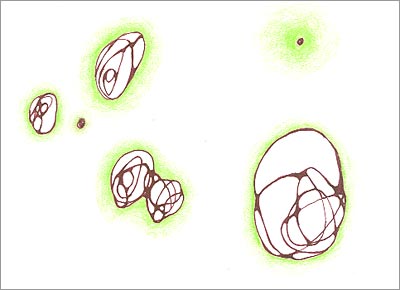 a grouping of forms where 2 get along quite well