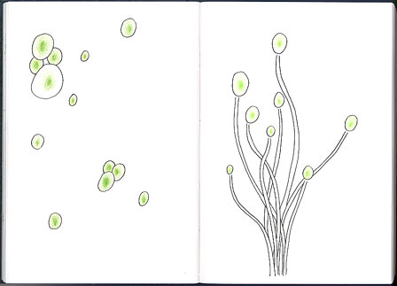 the most recent entry in my sketchbook