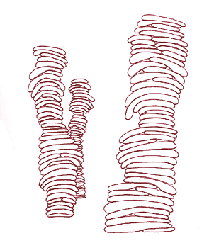 pile number 3 (trio)